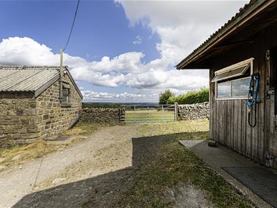 Picture 17